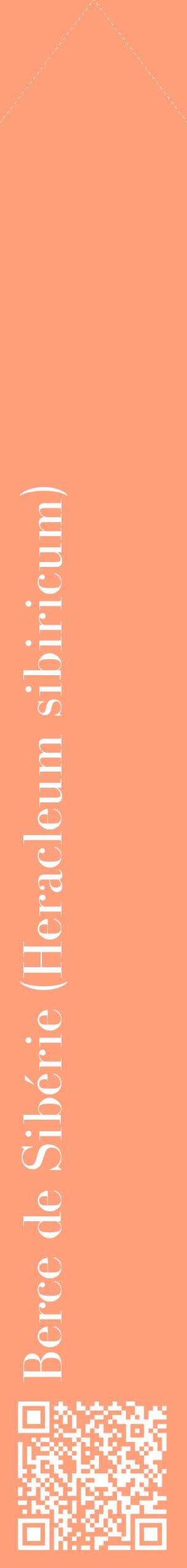 Étiquette de : Heracleum sibiricum - format c - style blanche39_simplebod avec qrcode et comestibilité