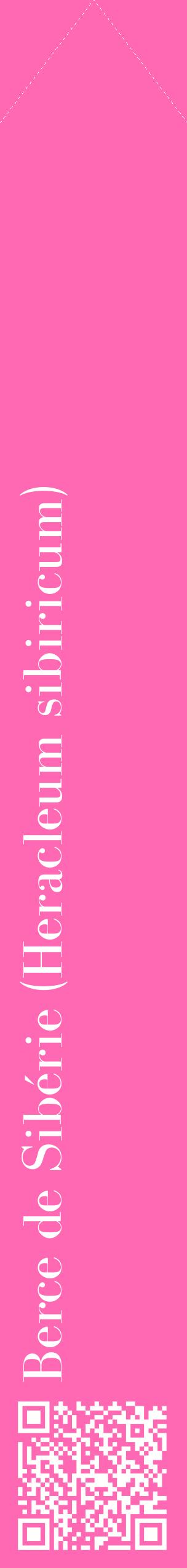 Étiquette de : Heracleum sibiricum - format c - style blanche42_simplebod avec qrcode et comestibilité