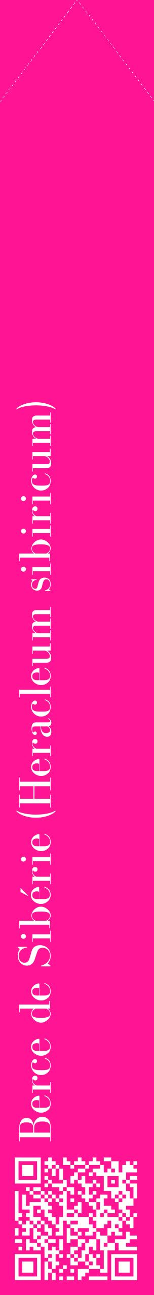 Étiquette de : Heracleum sibiricum - format c - style blanche43_simplebod avec qrcode et comestibilité