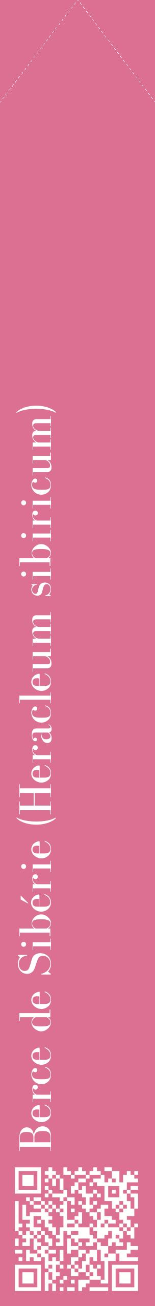 Étiquette de : Heracleum sibiricum - format c - style blanche44_simplebod avec qrcode et comestibilité