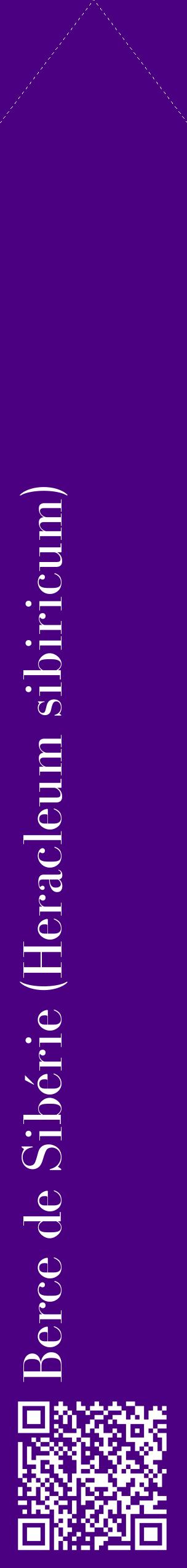 Étiquette de : Heracleum sibiricum - format c - style blanche47_simplebod avec qrcode et comestibilité