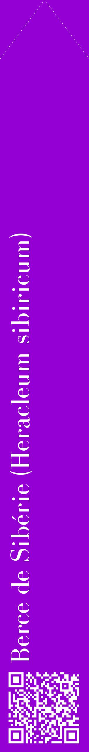 Étiquette de : Heracleum sibiricum - format c - style blanche48_simplebod avec qrcode et comestibilité