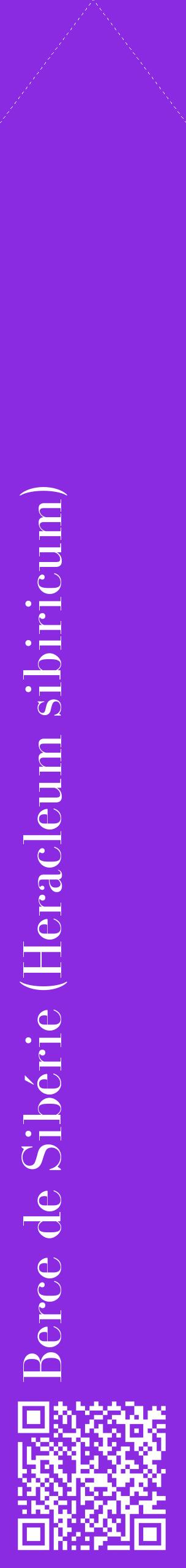Étiquette de : Heracleum sibiricum - format c - style blanche49_simplebod avec qrcode et comestibilité