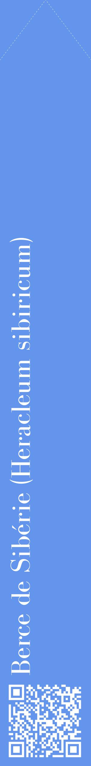 Étiquette de : Heracleum sibiricum - format c - style blanche4_simplebod avec qrcode et comestibilité