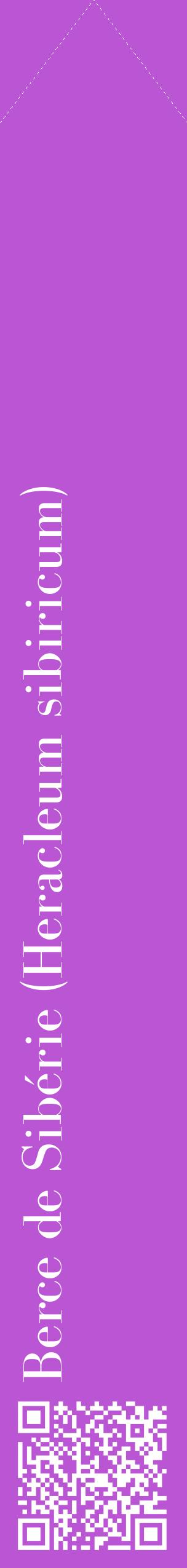 Étiquette de : Heracleum sibiricum - format c - style blanche50_simplebod avec qrcode et comestibilité
