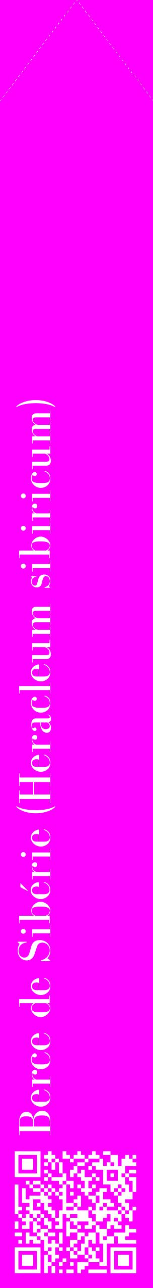 Étiquette de : Heracleum sibiricum - format c - style blanche51_simplebod avec qrcode et comestibilité