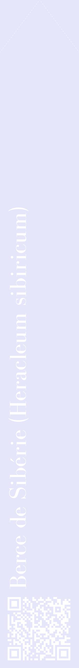 Étiquette de : Heracleum sibiricum - format c - style blanche55_simplebod avec qrcode et comestibilité