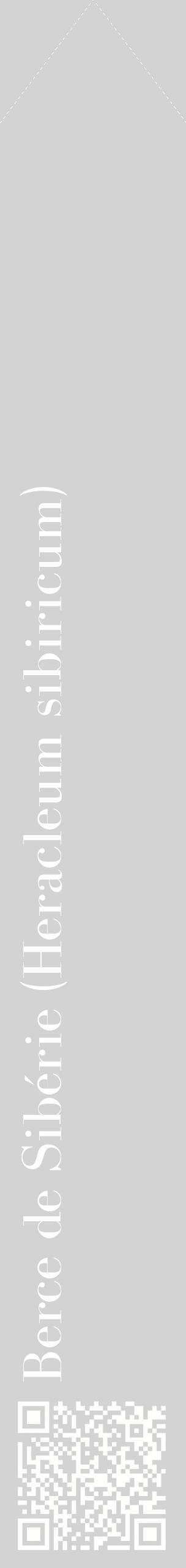 Étiquette de : Heracleum sibiricum - format c - style blanche56_simplebod avec qrcode et comestibilité