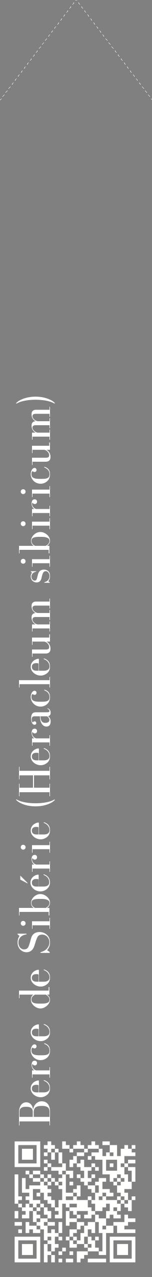 Étiquette de : Heracleum sibiricum - format c - style blanche57_simplebod avec qrcode et comestibilité