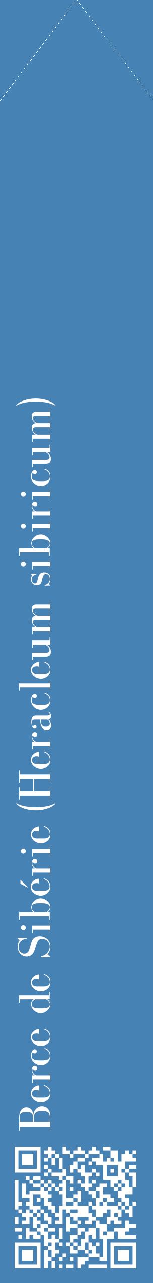 Étiquette de : Heracleum sibiricum - format c - style blanche5_simplebod avec qrcode et comestibilité