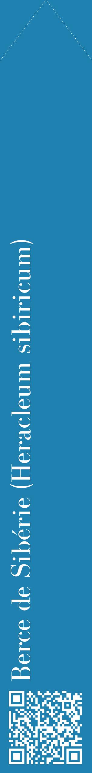 Étiquette de : Heracleum sibiricum - format c - style blanche6_simplebod avec qrcode et comestibilité
