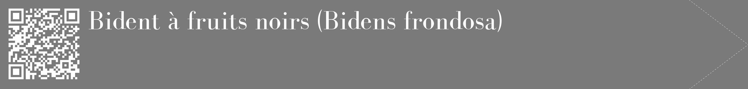 Étiquette de : Bidens frondosa - format c - style blanche3_simple_simplebod avec qrcode et comestibilité