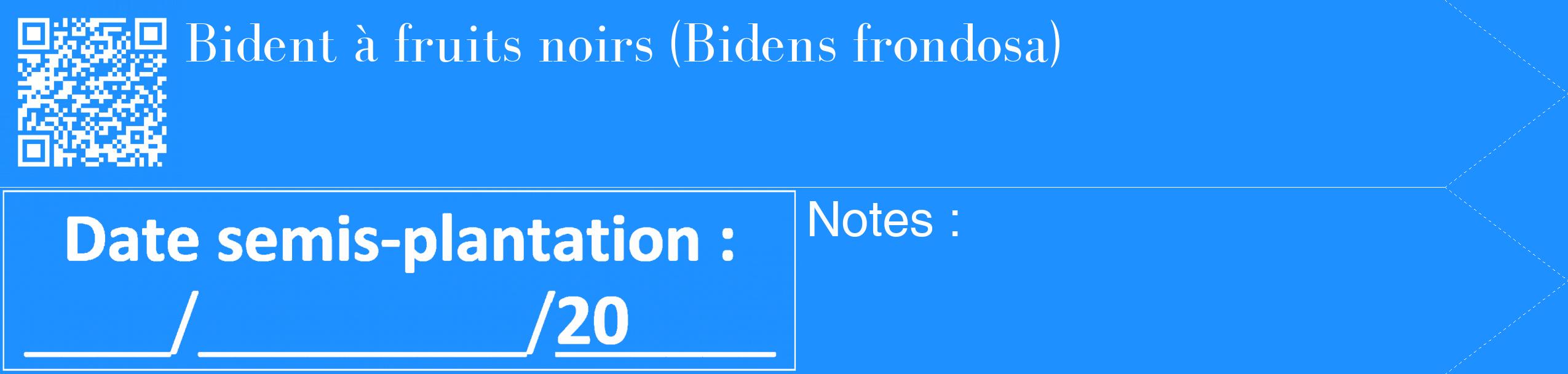 Étiquette de : Bidens frondosa - format c - style blanche3_simple_simplebod avec qrcode et comestibilité
