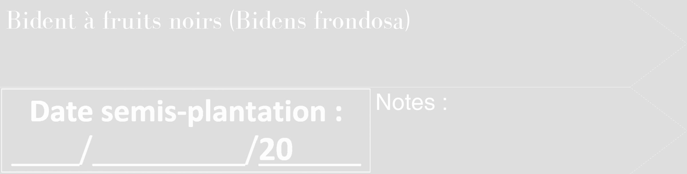 Étiquette de : Bidens frondosa - format c - style blanche20_simple_simplebod avec comestibilité