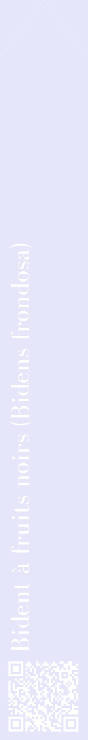 Étiquette de : Bidens frondosa - format c - style blanche55_simplebod avec qrcode et comestibilité