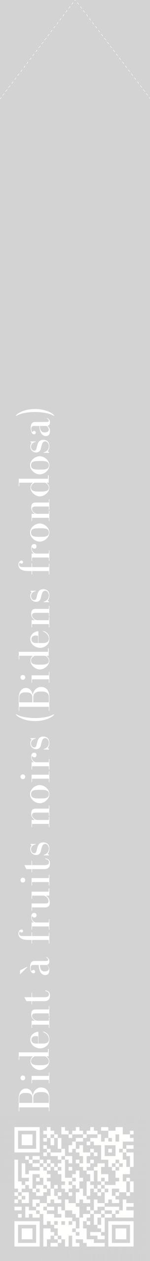 Étiquette de : Bidens frondosa - format c - style blanche56_simplebod avec qrcode et comestibilité