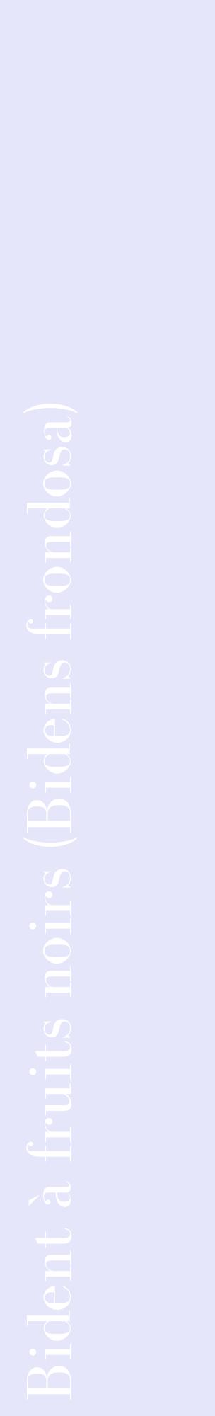 Étiquette de : Bidens frondosa - format c - style blanche55_basiquebod avec comestibilité