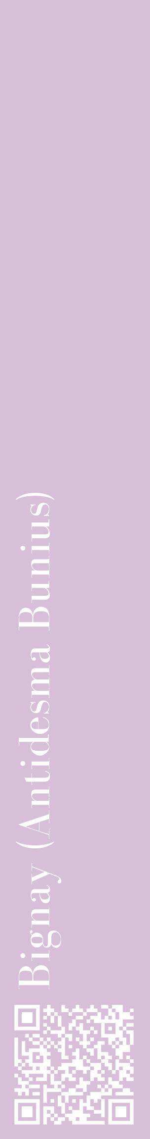 Étiquette de : Antidesma Bunius - format c - style blanche54_basiquebod avec qrcode et comestibilité