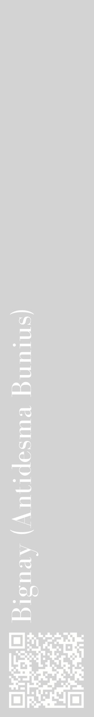 Étiquette de : Antidesma Bunius - format c - style blanche56_basiquebod avec qrcode et comestibilité