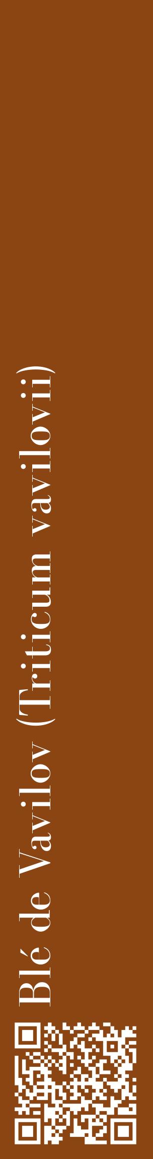 Étiquette de : Triticum vavilovii - format c - style blanche30_basiquebod avec qrcode et comestibilité