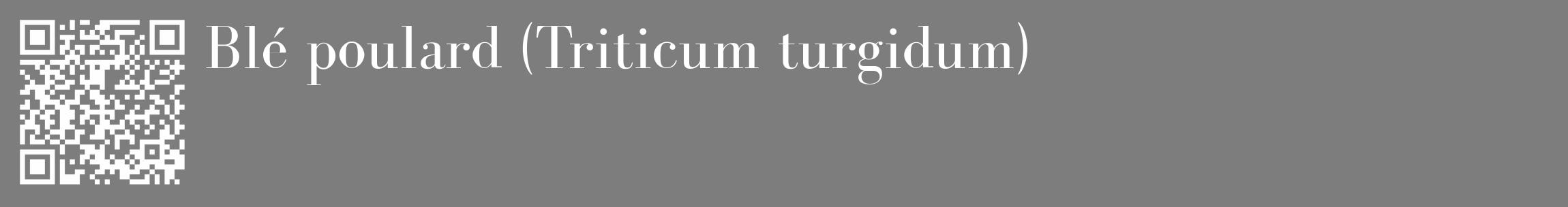 Étiquette de : Triticum turgidum - format c - style blanche35_basique_basiquebod avec qrcode et comestibilité