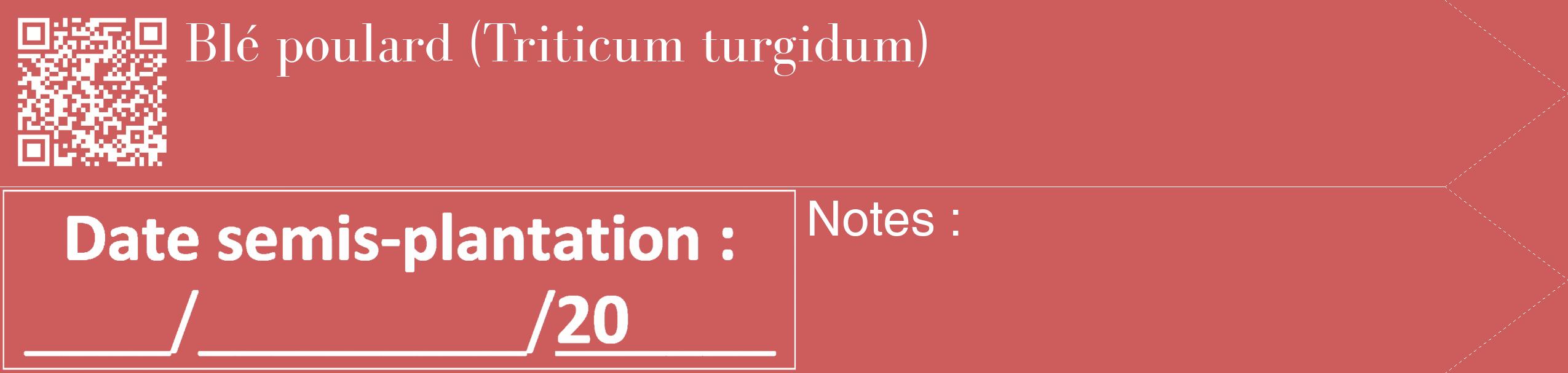 Étiquette de : Triticum turgidum - format c - style blanche35_simple_simplebod avec qrcode et comestibilité
