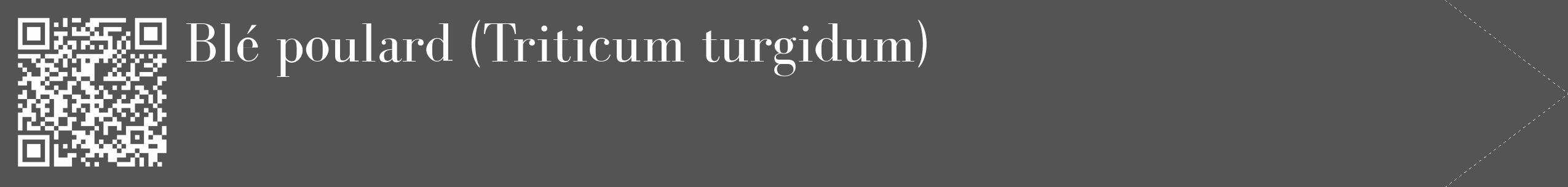 Étiquette de : Triticum turgidum - format c - style blanche36_simple_simplebod avec qrcode et comestibilité