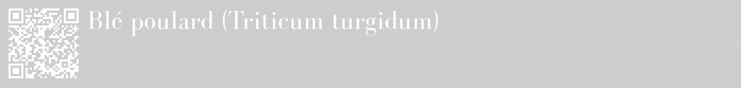 Étiquette de : Triticum turgidum - format c - style blanche41_simple_simplebod avec qrcode et comestibilité