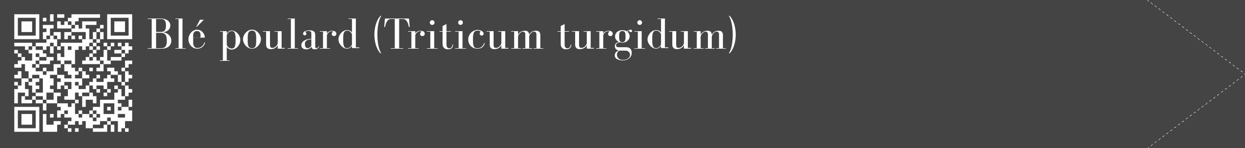Étiquette de : Triticum turgidum - format c - style blanche48_simple_simplebod avec qrcode et comestibilité