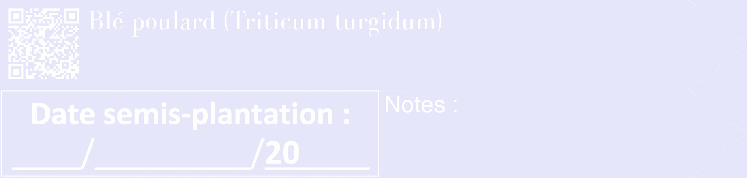 Étiquette de : Triticum turgidum - format c - style blanche55_simple_simplebod avec qrcode et comestibilité