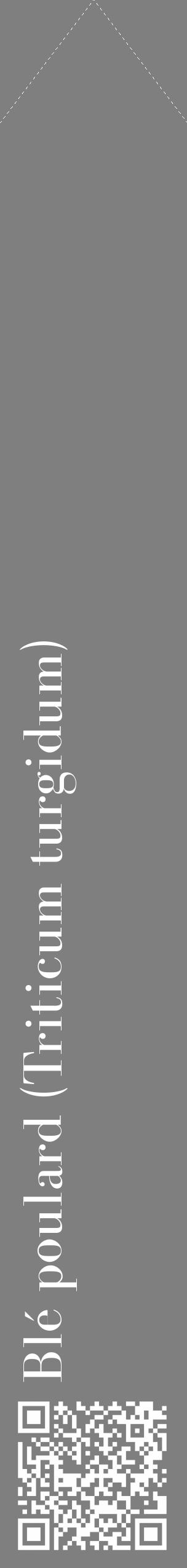 Étiquette de : Triticum turgidum - format c - style blanche31_simple_simplebod avec qrcode et comestibilité - position verticale