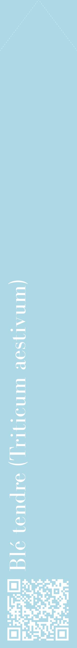 Étiquette de : Triticum aestivum - format c - style blanche0_simplebod avec qrcode et comestibilité