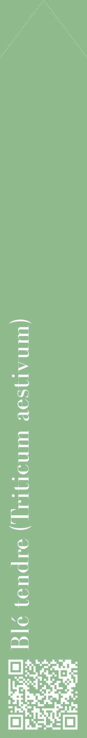 Étiquette de : Triticum aestivum - format c - style blanche13_simplebod avec qrcode et comestibilité
