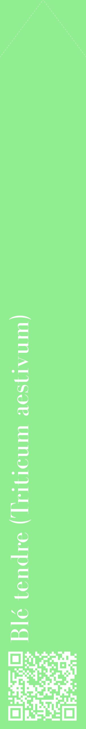 Étiquette de : Triticum aestivum - format c - style blanche15_simplebod avec qrcode et comestibilité