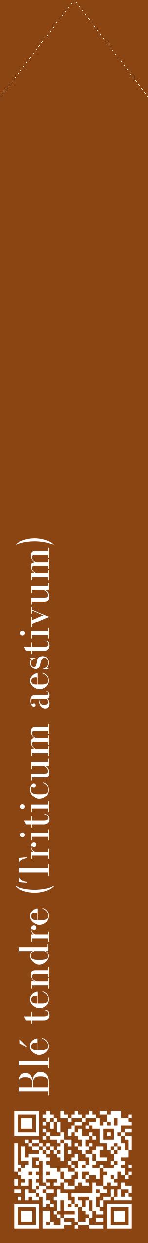Étiquette de : Triticum aestivum - format c - style blanche30_simplebod avec qrcode et comestibilité