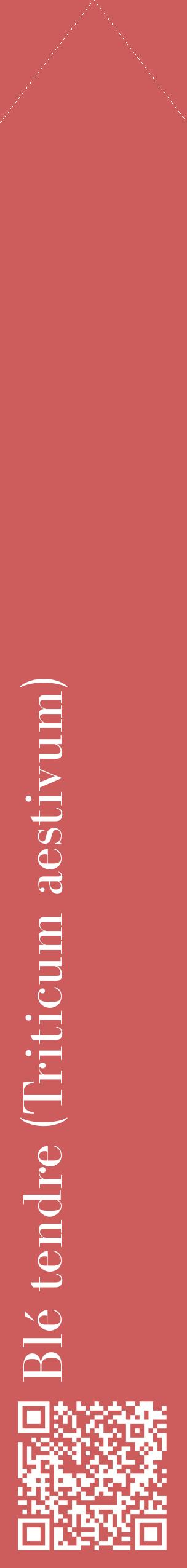 Étiquette de : Triticum aestivum - format c - style blanche35_simplebod avec qrcode et comestibilité