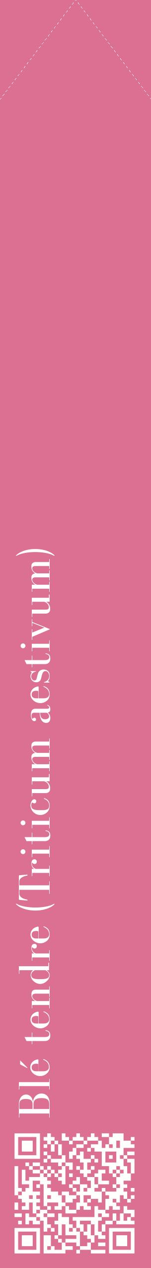 Étiquette de : Triticum aestivum - format c - style blanche44_simplebod avec qrcode et comestibilité