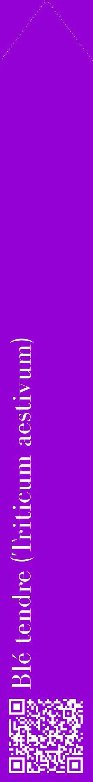 Étiquette de : Triticum aestivum - format c - style blanche48_simplebod avec qrcode et comestibilité