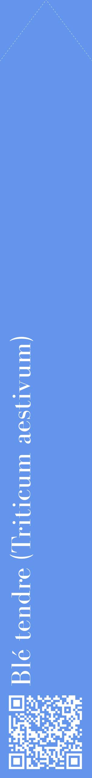 Étiquette de : Triticum aestivum - format c - style blanche4_simplebod avec qrcode et comestibilité