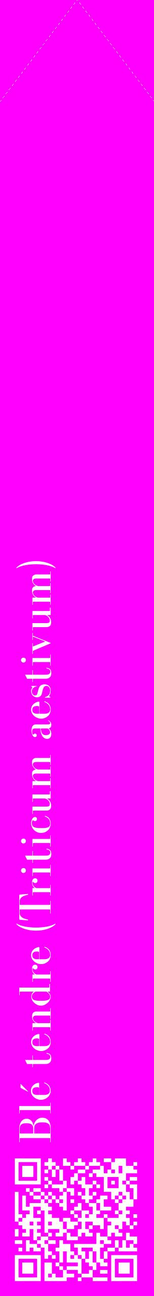 Étiquette de : Triticum aestivum - format c - style blanche51_simplebod avec qrcode et comestibilité