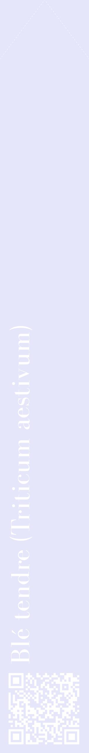Étiquette de : Triticum aestivum - format c - style blanche55_simplebod avec qrcode et comestibilité