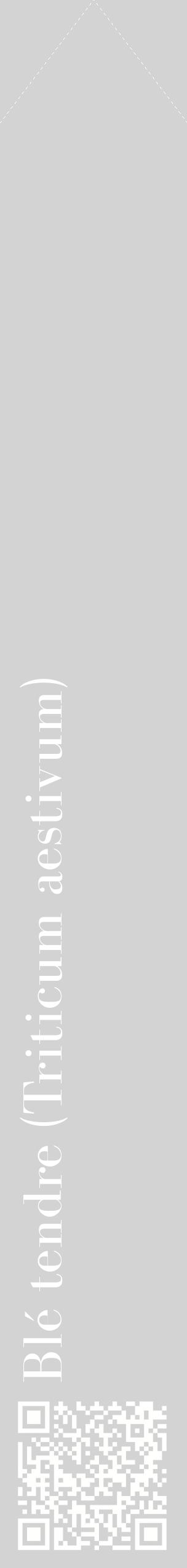 Étiquette de : Triticum aestivum - format c - style blanche56_simplebod avec qrcode et comestibilité