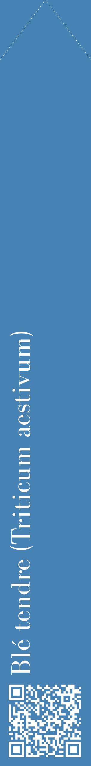 Étiquette de : Triticum aestivum - format c - style blanche5_simplebod avec qrcode et comestibilité