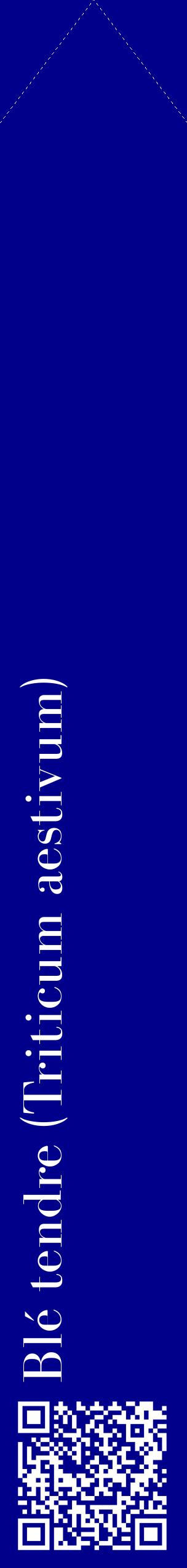 Étiquette de : Triticum aestivum - format c - style blanche7_simplebod avec qrcode et comestibilité