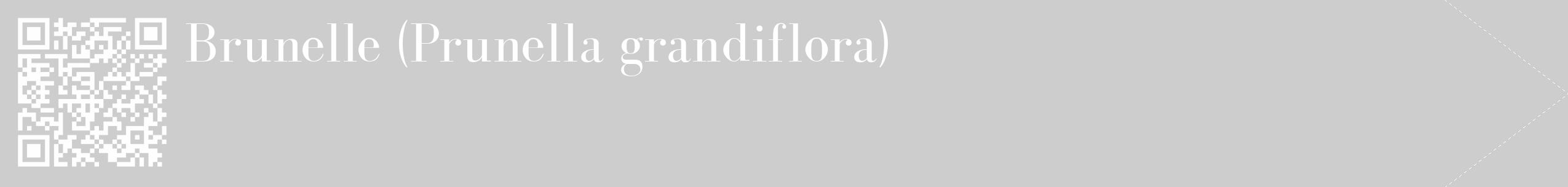 Étiquette de : Prunella grandiflora - format c - style blanche41_simple_simplebod avec qrcode et comestibilité