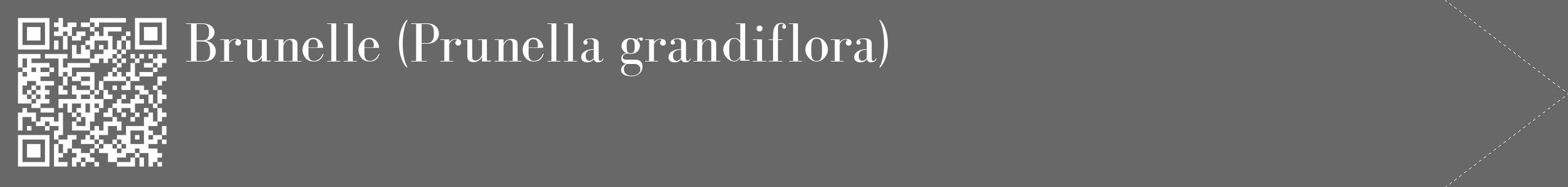Étiquette de : Prunella grandiflora - format c - style blanche43_simple_simplebod avec qrcode et comestibilité