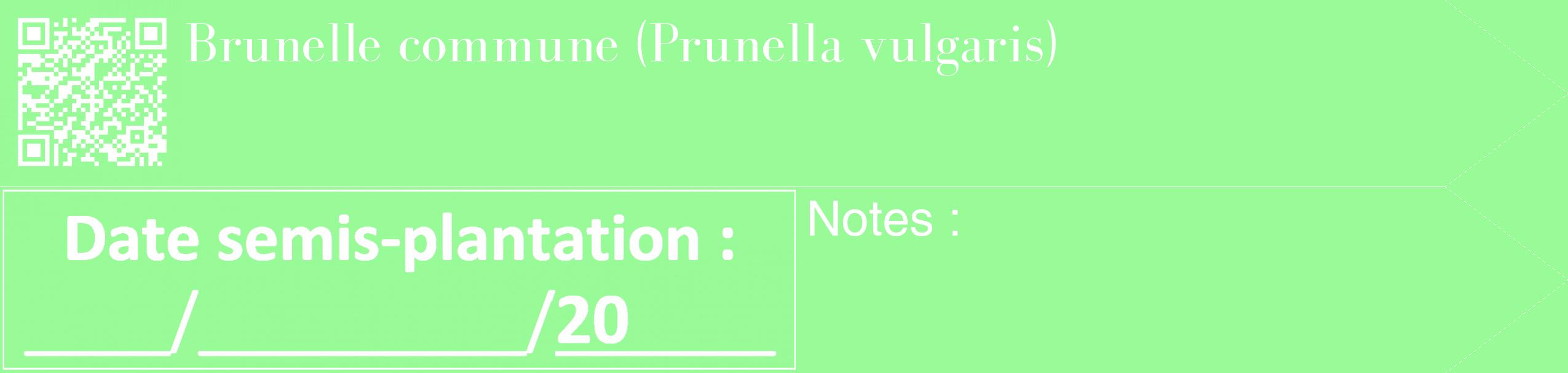 Étiquette de : Prunella vulgaris - format c - style blanche14_simple_simplebod avec qrcode et comestibilité