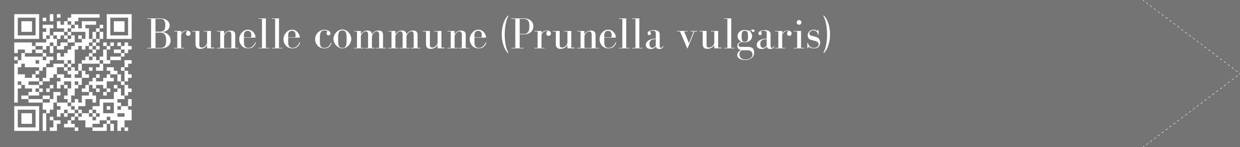 Étiquette de : Prunella vulgaris - format c - style blanche26_simple_simplebod avec qrcode et comestibilité