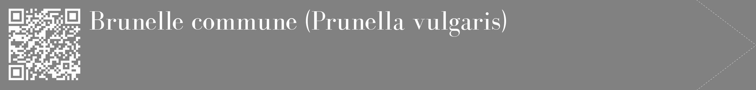 Étiquette de : Prunella vulgaris - format c - style blanche50_simple_simplebod avec qrcode et comestibilité