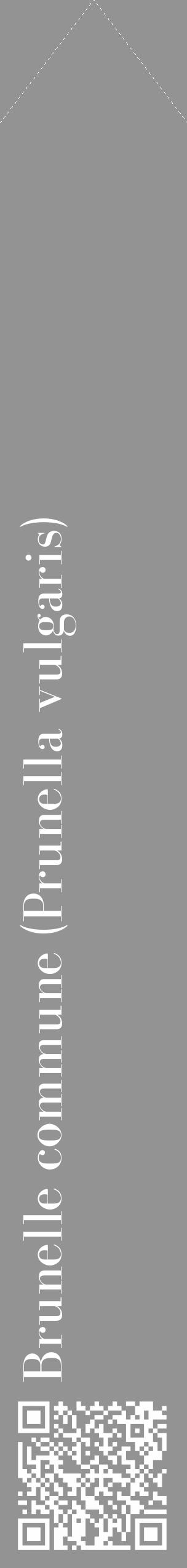 Étiquette de : Prunella vulgaris - format c - style blanche44_simple_simplebod avec qrcode et comestibilité - position verticale